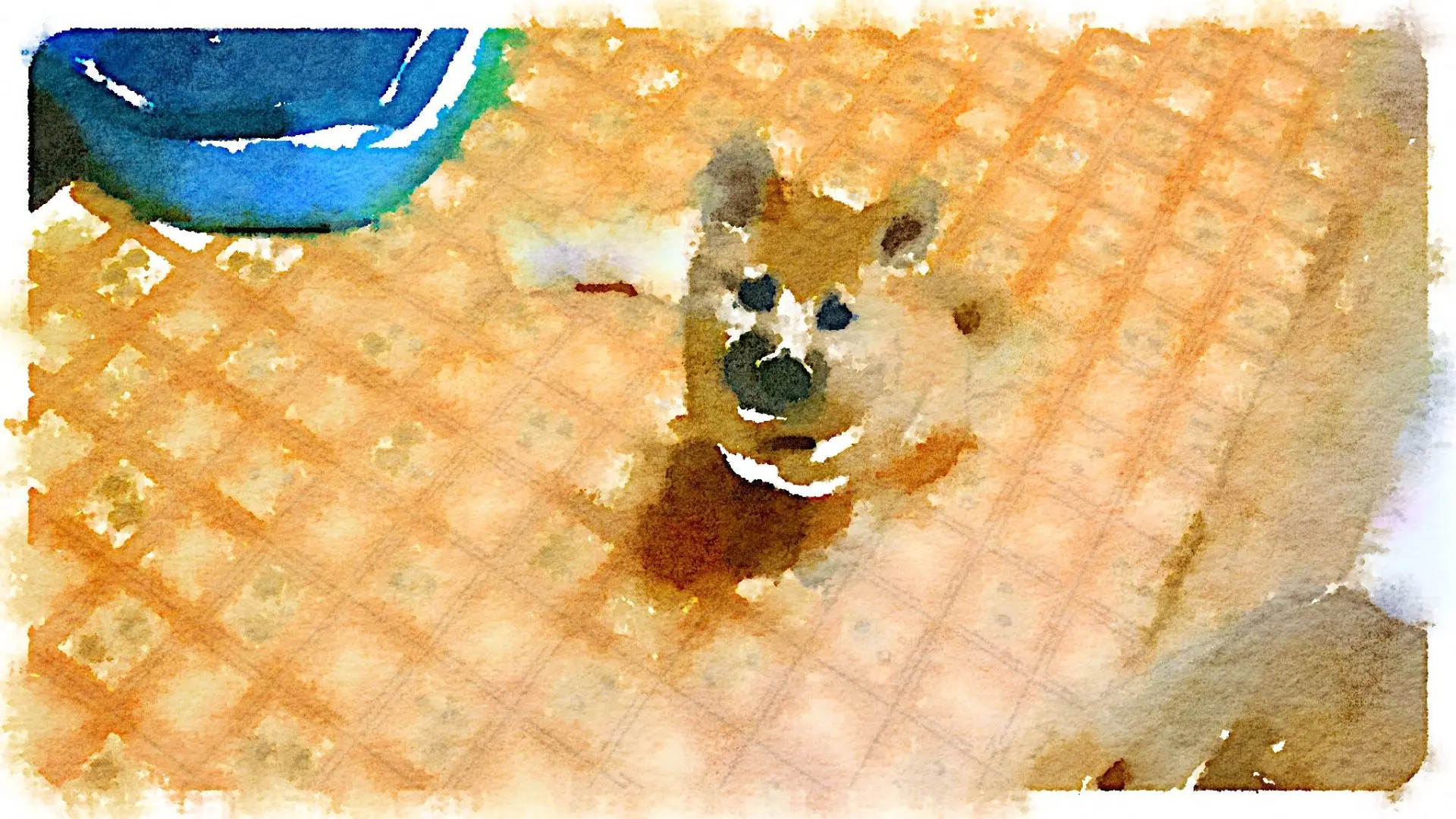 豆太郎」タグの記事一覧｜ToshiLab