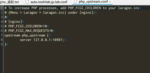 Laragonのphp_upstream.confでPHP FastCGIの接続先127.0.0.1:10987を定義している画面
