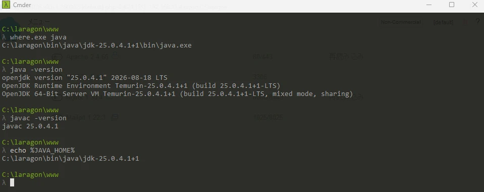 LaragonでJava 25.0.4.1の実行ファイル、java、javac、JAVA_HOMEを確認している画面